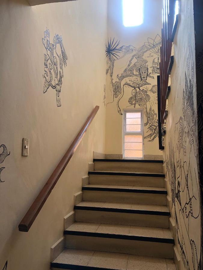 Los Nardos Hostel -Pet Friendly- Oaxaca Buitenkant foto